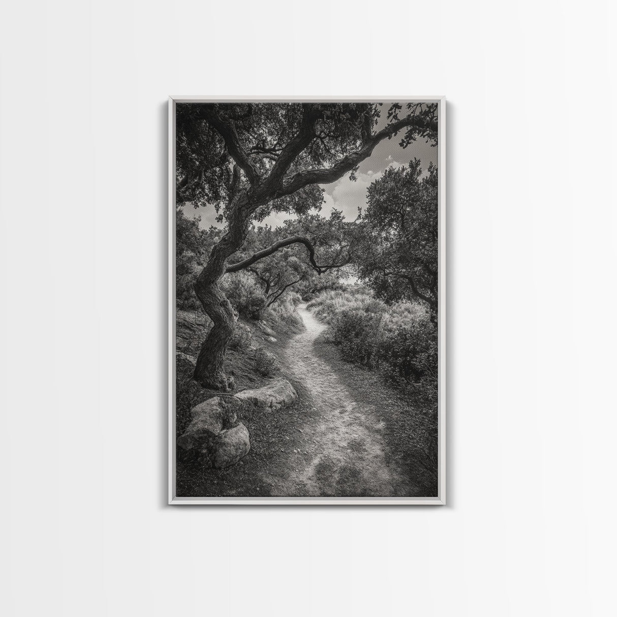 Forest Path, Twisting Trees, Nature Trail Scene, Framed Canvas Print, Earthy Wall Art, Boho Woodland Decor, Entryway or Hallway Accent