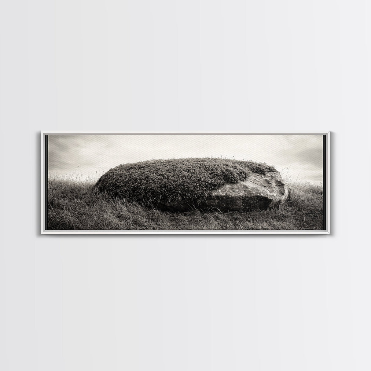 Heather Rock, Grassy Field, Natural Simplicity, Earthy Tones, Canvas Print, Rustic Home Decor, Minimalist Nature Wall Art, Fall Inspired Art