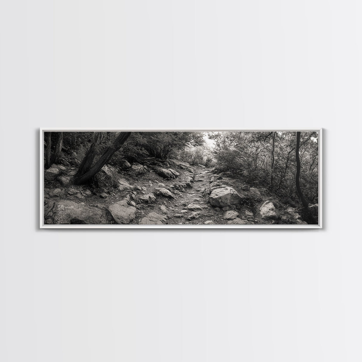 Rocky Path, Forest Trail, Autumn Mood, Canvas Print, Nature Photography, Rustic Entryway Decor, Woodland Art, Cabin Hallway Style