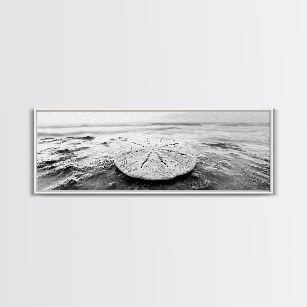 Sand Dollar, Ocean Shore, Calm Waters, Canvas Print, Coastal Wall Art, Minimalist Bathroom Decor, Seashell Beach Photography