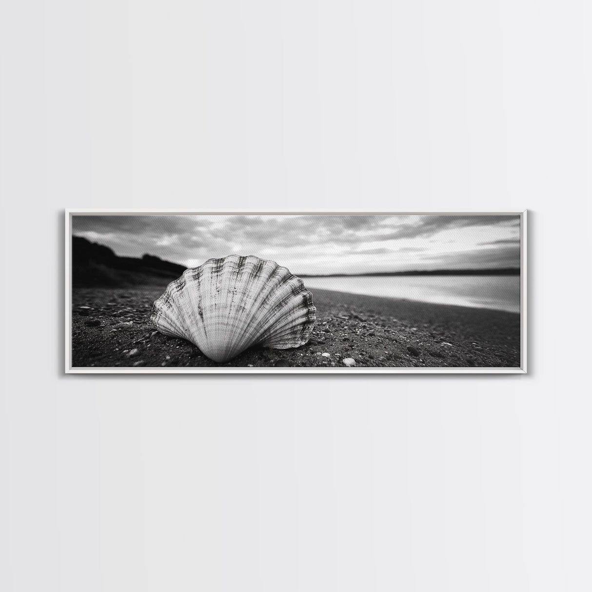 Shell on Shore, Monochrome Coastal, Canvas Print, Boho Wall Art, Bathroom Wall Decor, Natural Beach Aesthetic, Ocean Inspired Art
