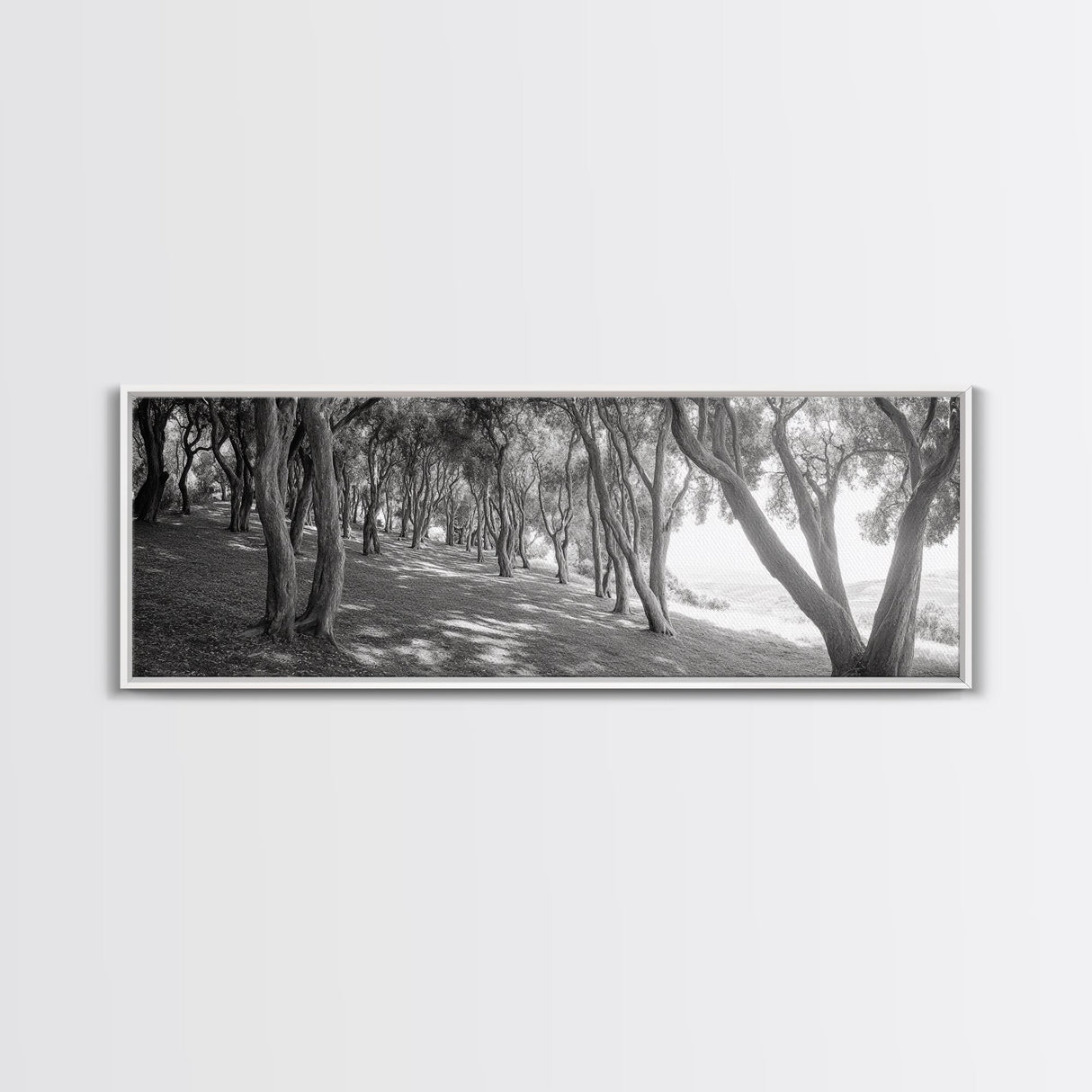 Forest Path, Tree Tunnel, Light Shadows, Woodland Magic, Framed Canvas Print, Nature Lover Gift, Entryway Wall Art, Modern Rustic Style