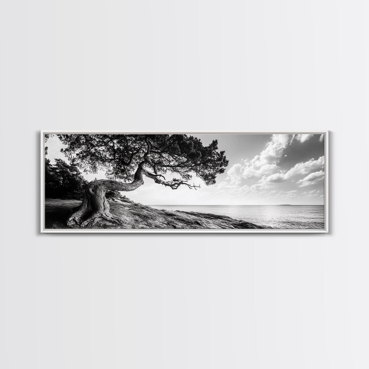 Coastal Tree, Wind Bent, Seaside Beauty, Nautical Serenity, Canvas Print, Nature Wall Art, Minimalist Decor, Coastal Living Room Art