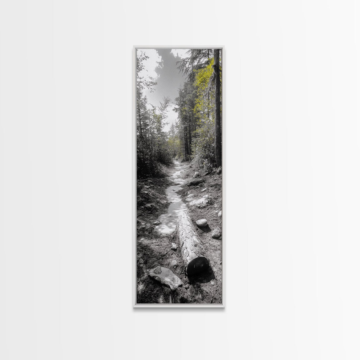 Forest Path, Autumn Leaves, Nature Trail, Framed Canvas Print, Black and White Wall Art, Cabin Decor, Rustic Hallway Accent