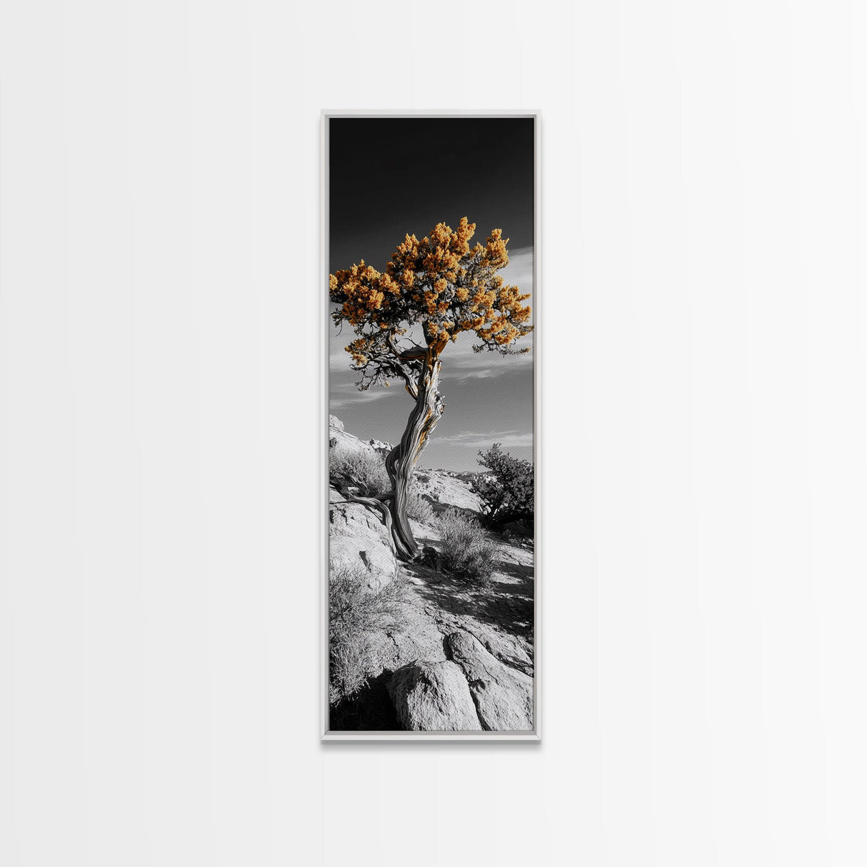 Twisted Tree, Desert Bloom, Rustic Wilderness, Nature Drama, Framed Canvas Print, Boho Living Room Wall Art, Moody Outdoor Style