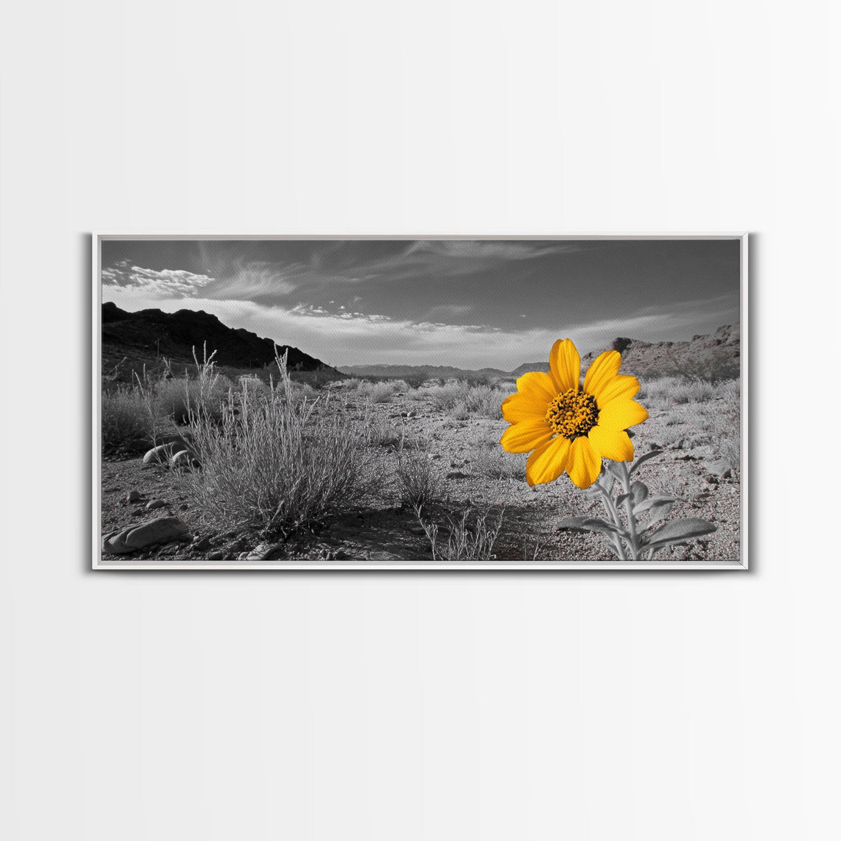 Yellow Flower, Desert Bloom, Monochrome Landscape, Canvas Print, Botanical Wall Art, Minimalist Nature Decor, Modern Kitchen Accent