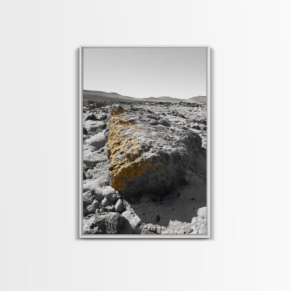 Yellow Lichen Rock, Monochrome Landscape, Desert Texture, Canvas Print, Rustic Wall Art, Minimalist Decor, Entryway or Office Art