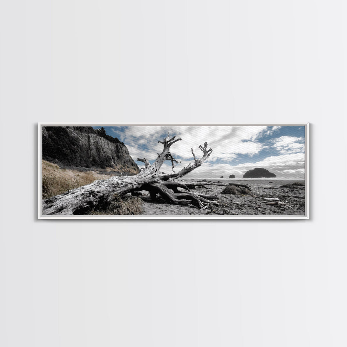 Driftwood, Coastal Tree, Beach Skeleton, Ocean Landscape, Framed Canvas Print, Coastal Decor, Neutral Tones, Office Wall Art