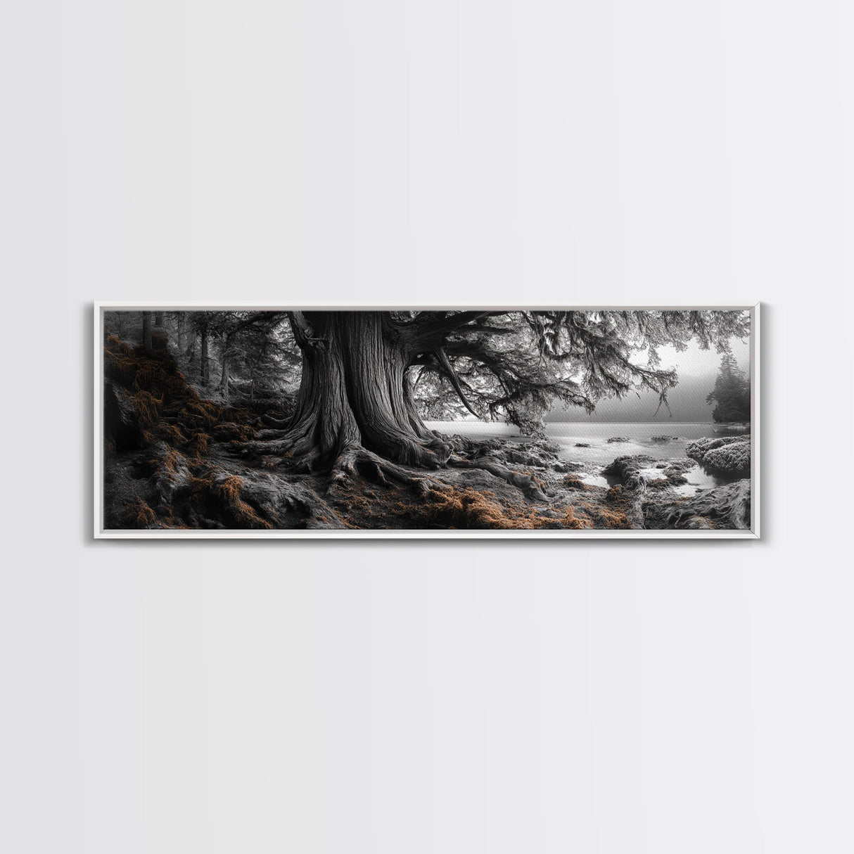 Ancient Tree, Forest Roots, Coastal Woods, Mystical Scene, Framed Canvas Print, Nature Wall Art, Woodland Decor, Moody Living Room Art