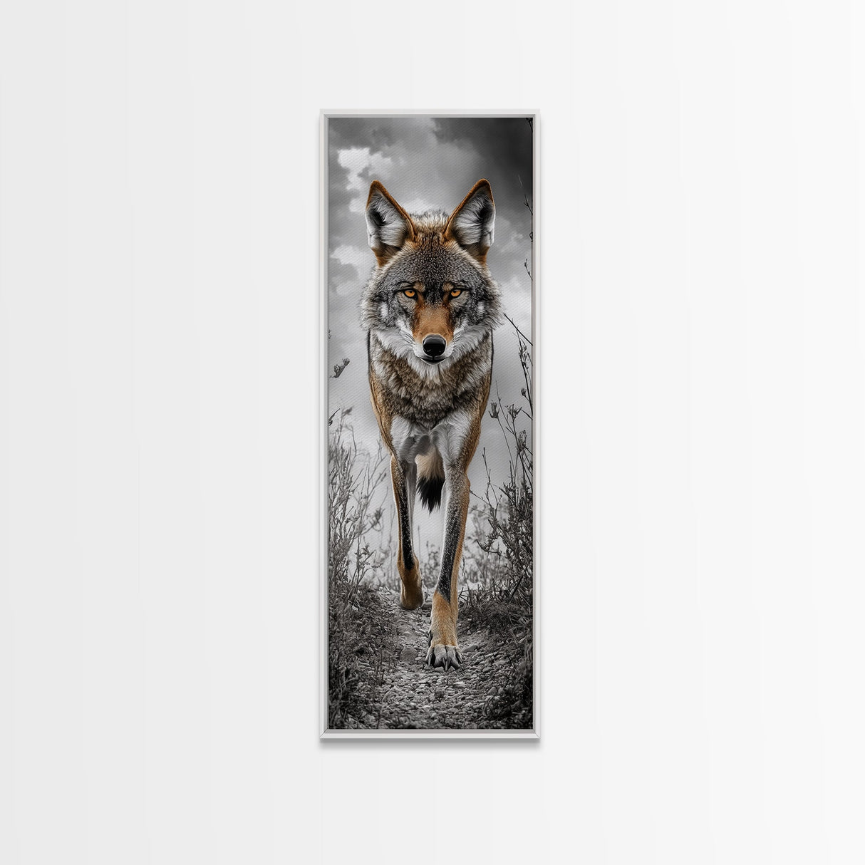 Intense Coyote Stare Framed Canvas Print | Wildlife Wall Art | Rustic Decor | Moody Art | Southwest Wall Art | Above Sofa Art | Gift Idea