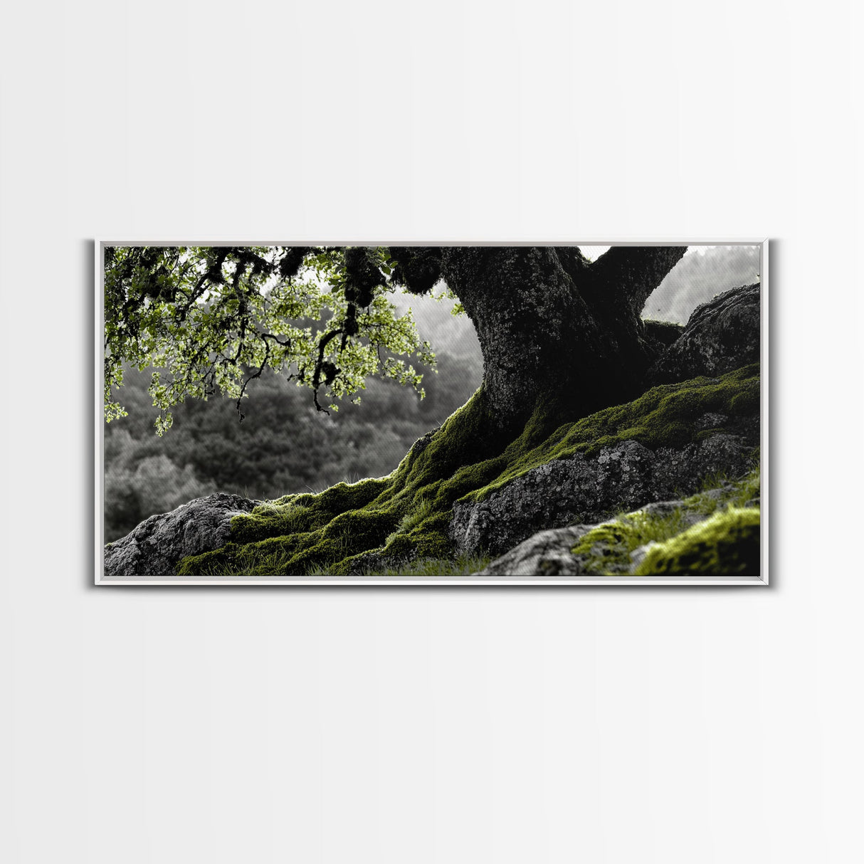 Mossy Oak Tree, oak tree art, nature wall art, rustic art, botanical prints, green wall art, extra wide art, Framed Canvas Print
