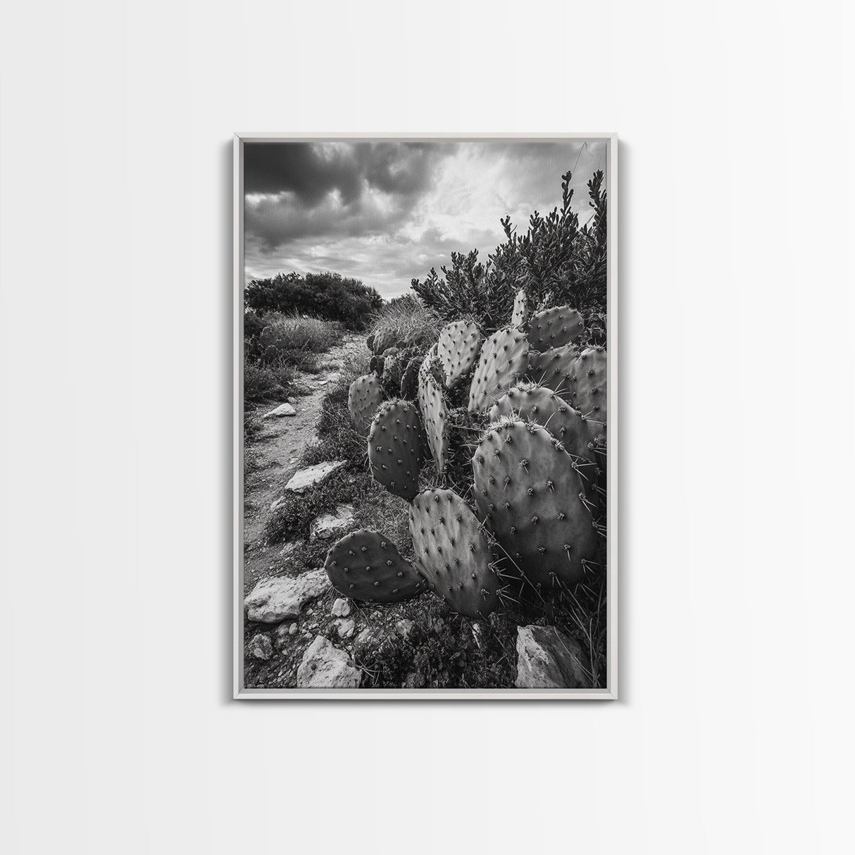 Cactus Trail, southwest wall art, rustic decor, desert painting, wabi sabi art, nature landscape art, framed canvas print, farmhouse decor