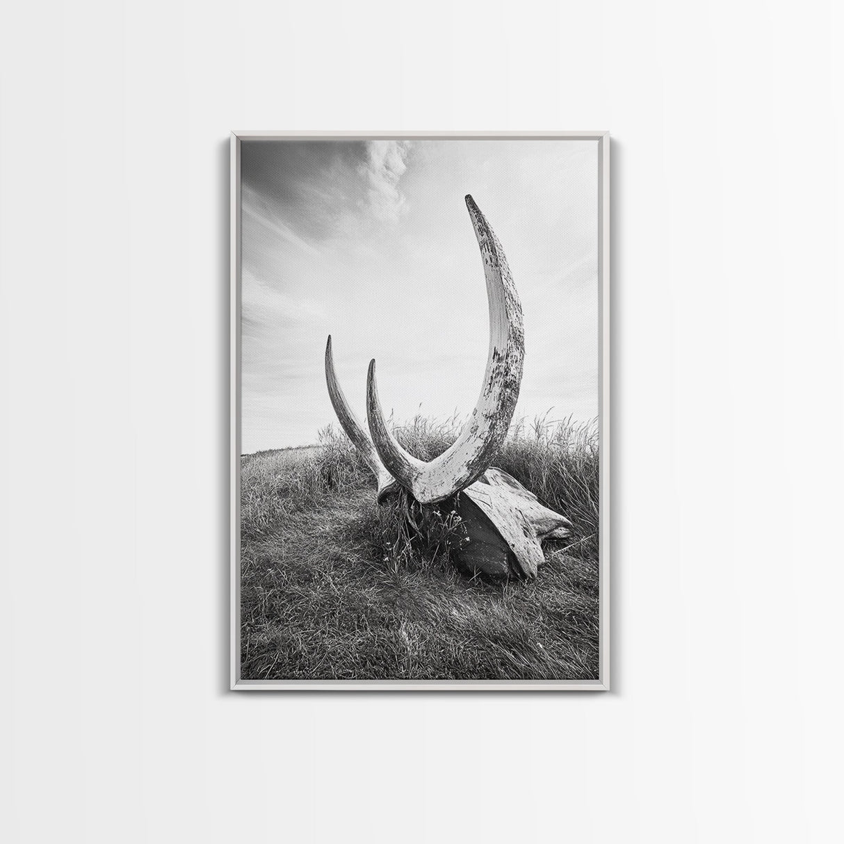 Large horns, rustic skull, bull and bear art, moody wall art, desert decor, cowboy aesthetic, framed canvas print, minimalist art