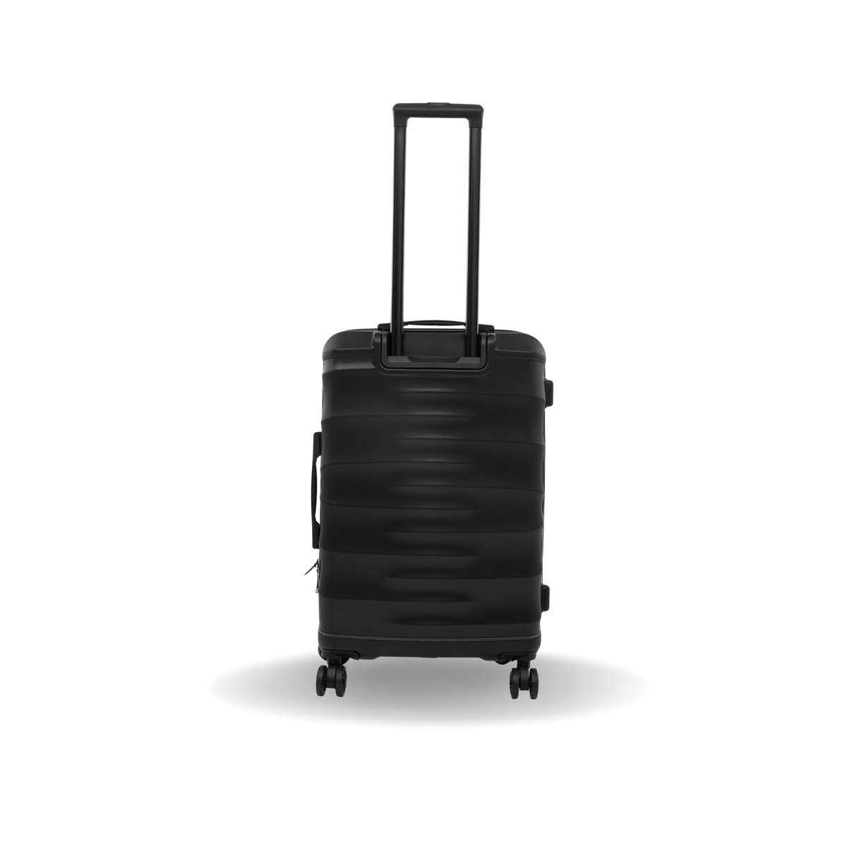 RAV Medium 24"