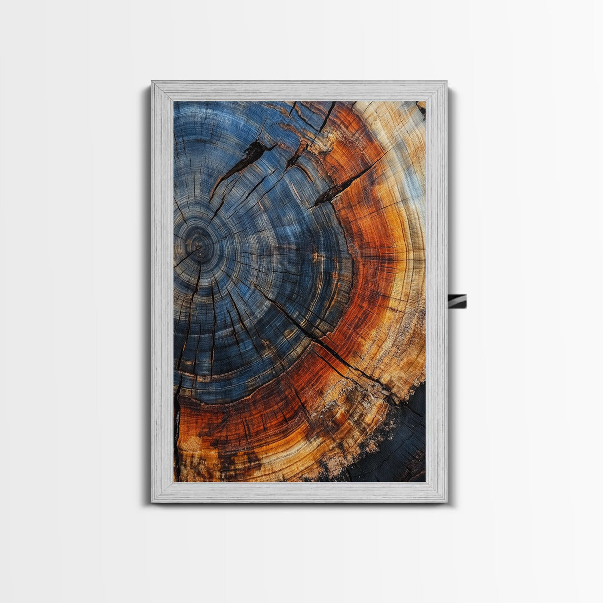 Tree Ring Framed Canvas Wall Art, Home Decor, Modern Farmhouse, Rustic and Eclectic, Kitsch Minimalist Home Decor, Living Room Wall Art