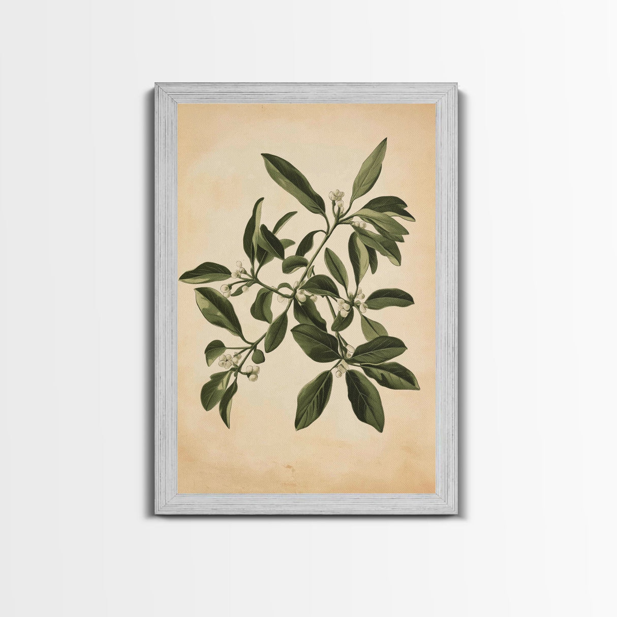 Mistletoe Canvas Print - Framed Canvas - Minimalist Christmas Art - Boho Christmas Art - Rustic Christmas Art