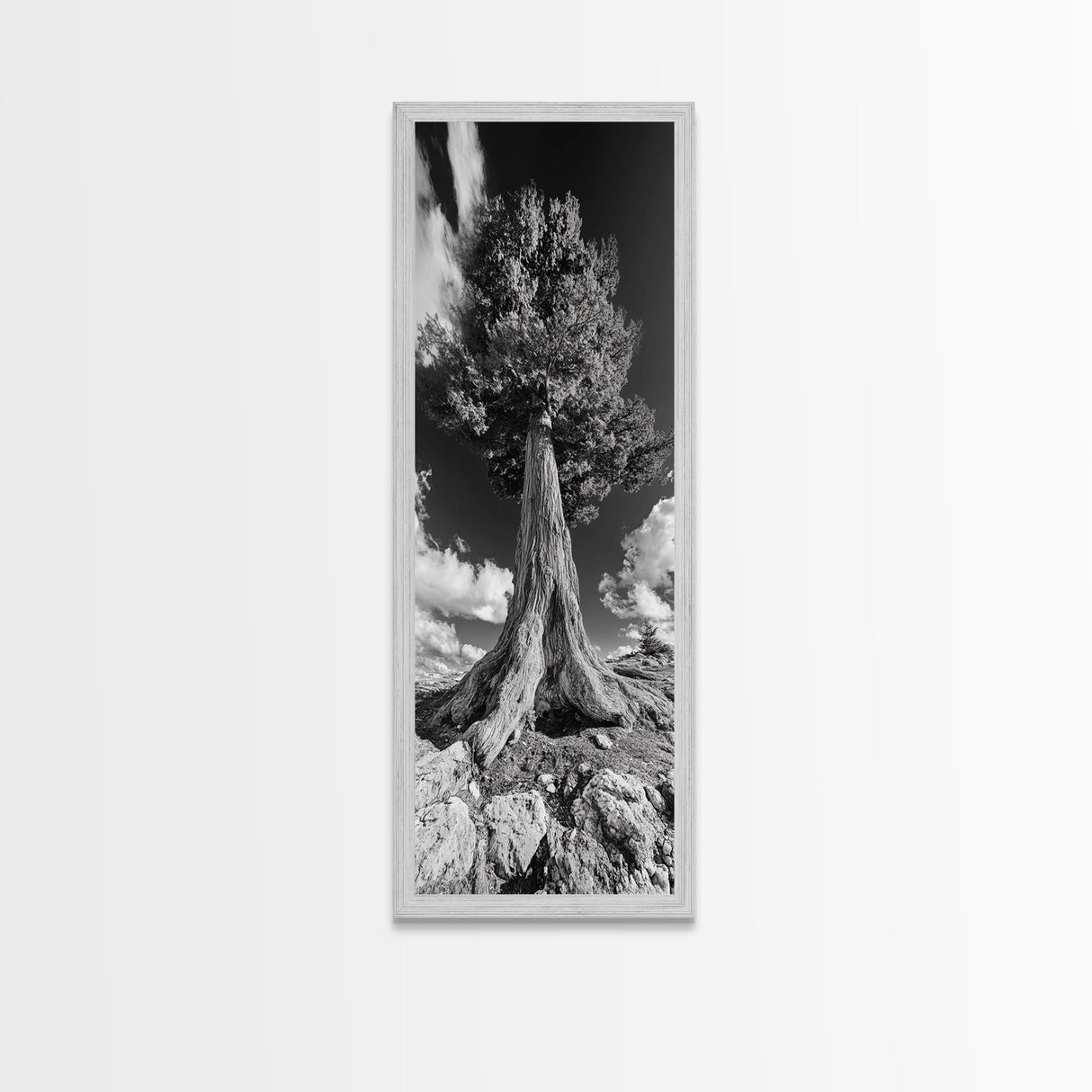 Majestic Tree, Nature Power, Earth Energy, Black White Art, Framed Canvas Print, Modern Rustic Decor, Cabin Wall Art, Tree Lover Gift