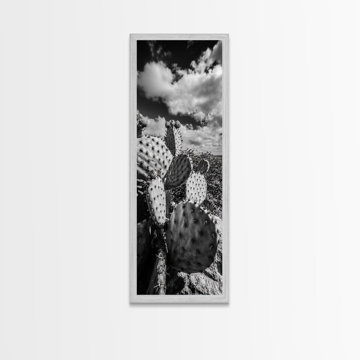 Desert Cactus Closeup, Prickly Pear Focus, Bold Nature Decor, Framed Canvas Print, Southwestern Kitchen Decor, Living Room Art