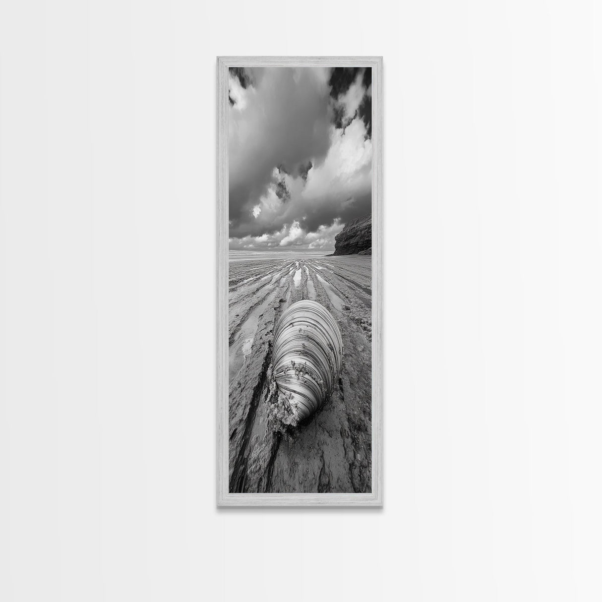 Ocean Clam, Moody Beach, Tidal Lines, Coastal Detail, Canvas Print, Nautical Bathroom Wall Art, Black and White Ocean Decor, Den Wall Piece