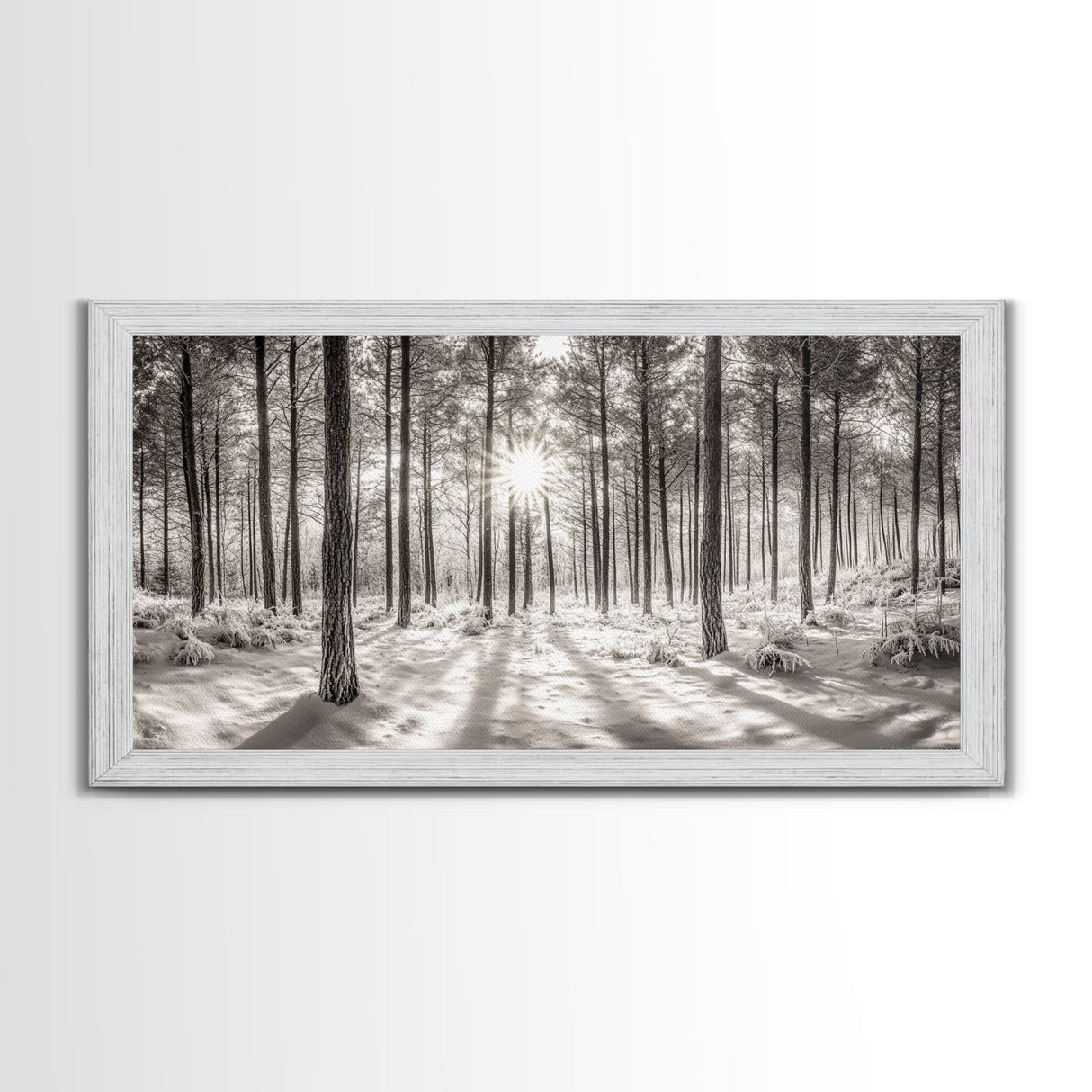 Winter Pine Forest, Sunlight Snow Trees, Nature Landscape Photography, Framed Canvas Print, Cabin Decor, Minimalist Wall Art