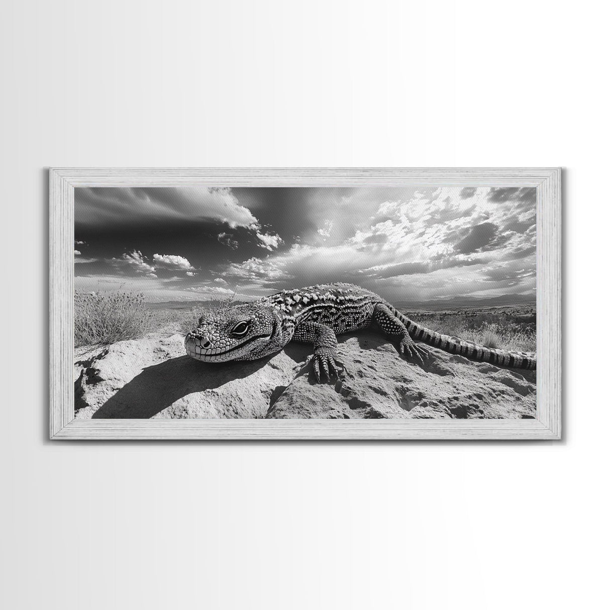 Desert Lizard Close-Up, Reptile Wildlife Photography, Dramatic Sky Scene, Canvas Print, Living Room Wall Art, Nature Decor