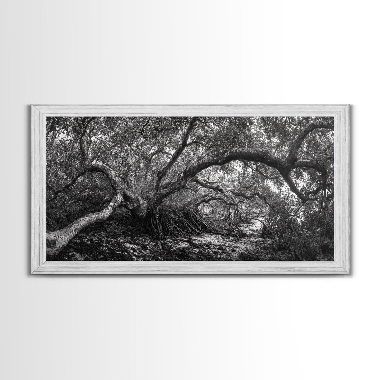 Mangrove Roots, Twisted Forest, Wild Nature, Moody Jungle, Framed Canvas Print, Rustic Living Room Art, Woodland Decor, Boho Vibes