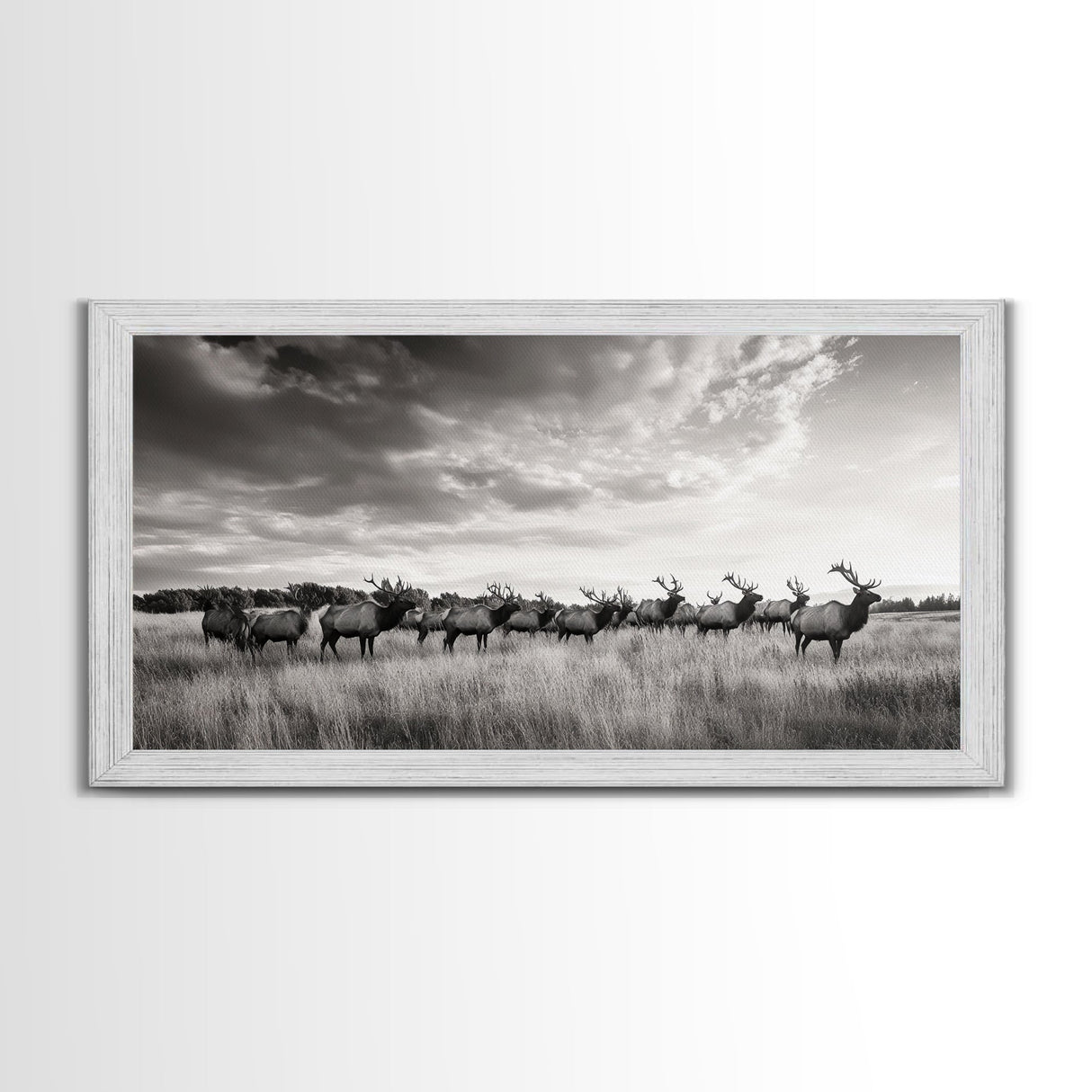 Elk Herd, Prairie Wildlife, Autumn Nature, Rustic Landscape, Framed Canvas Print, Western Wall Decor, Cabin Art, Living Room Print