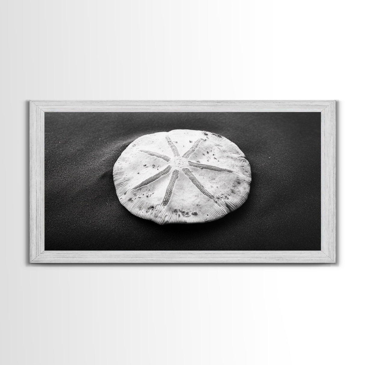 Sand Dollar, Beach Detail, Minimalist Sea, Calm Nature, Framed Canvas Print, Bathroom Wall Art, Coastal Boho Decor, Ocean Zen Style