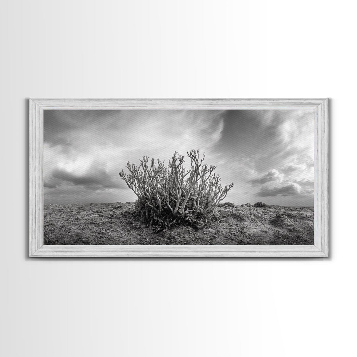 Desert Coral Plant, Dry Earth Botanical, Surreal Nature Texture, Minimal Wild Scene, Canvas Print, Office Wall Art, Earthy Decor