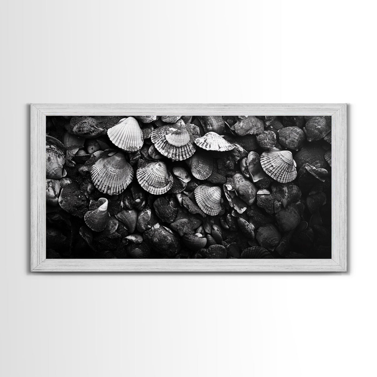 Seashell Close-Up, Ocean Texture Art, Nautical Beach Shells, Earthy Tones Decor, Framed Canvas Print, Bathroom Wall Art, Coastal Style