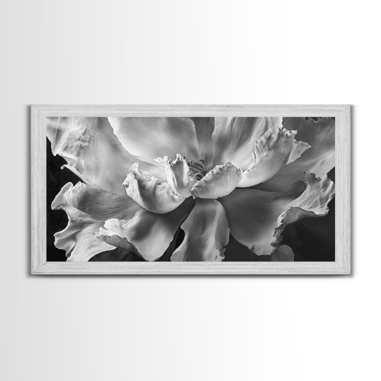 Floral Closeup, Petal Texture, Macro Bloom, Canvas Print, Botanical Bedroom Wall Art, Black And White Flower, Modern Nature Photography