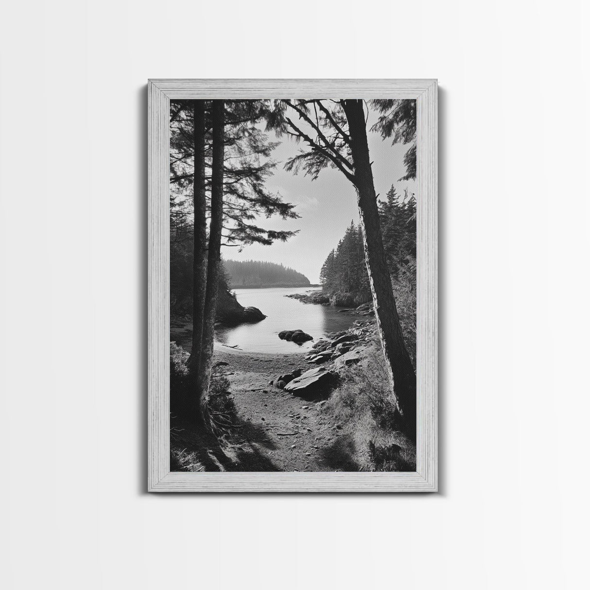 Woodland Cove Path, Tranquil Forest Scene, Nature Escape Art, Canvas Print, Cabin Wall Art, Coastal Boho Decor, Black White Landscape