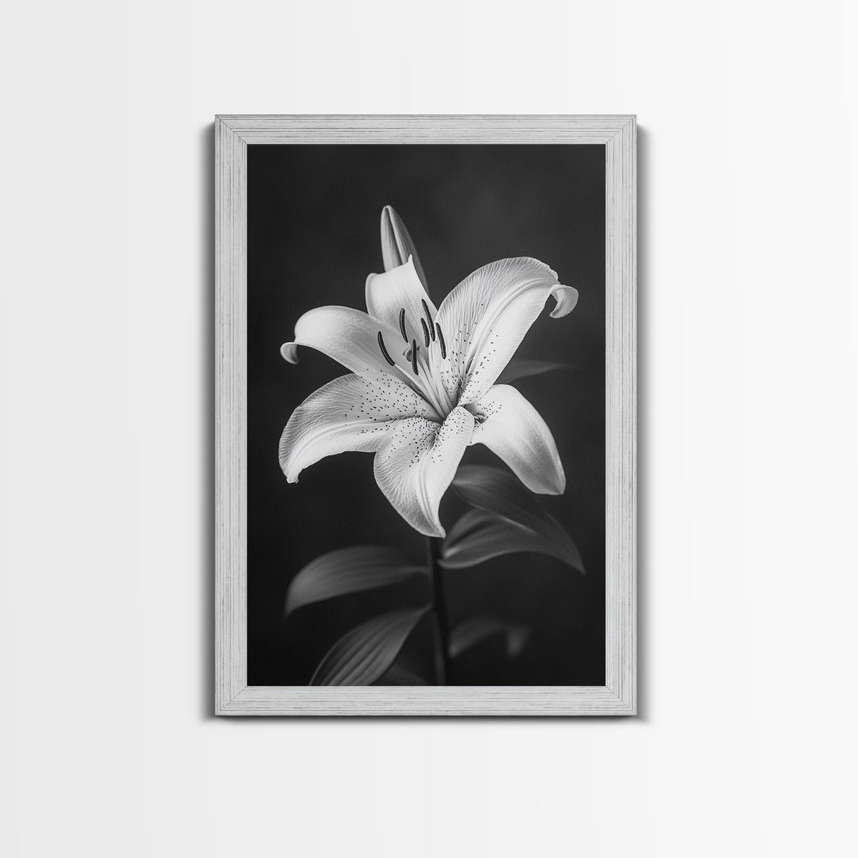 Elegant Lily, Black and White, Floral Beauty, Canvas Print, Botanical Wall Art, Minimalist Art, Bedroom Wall Decor, Nature Photography