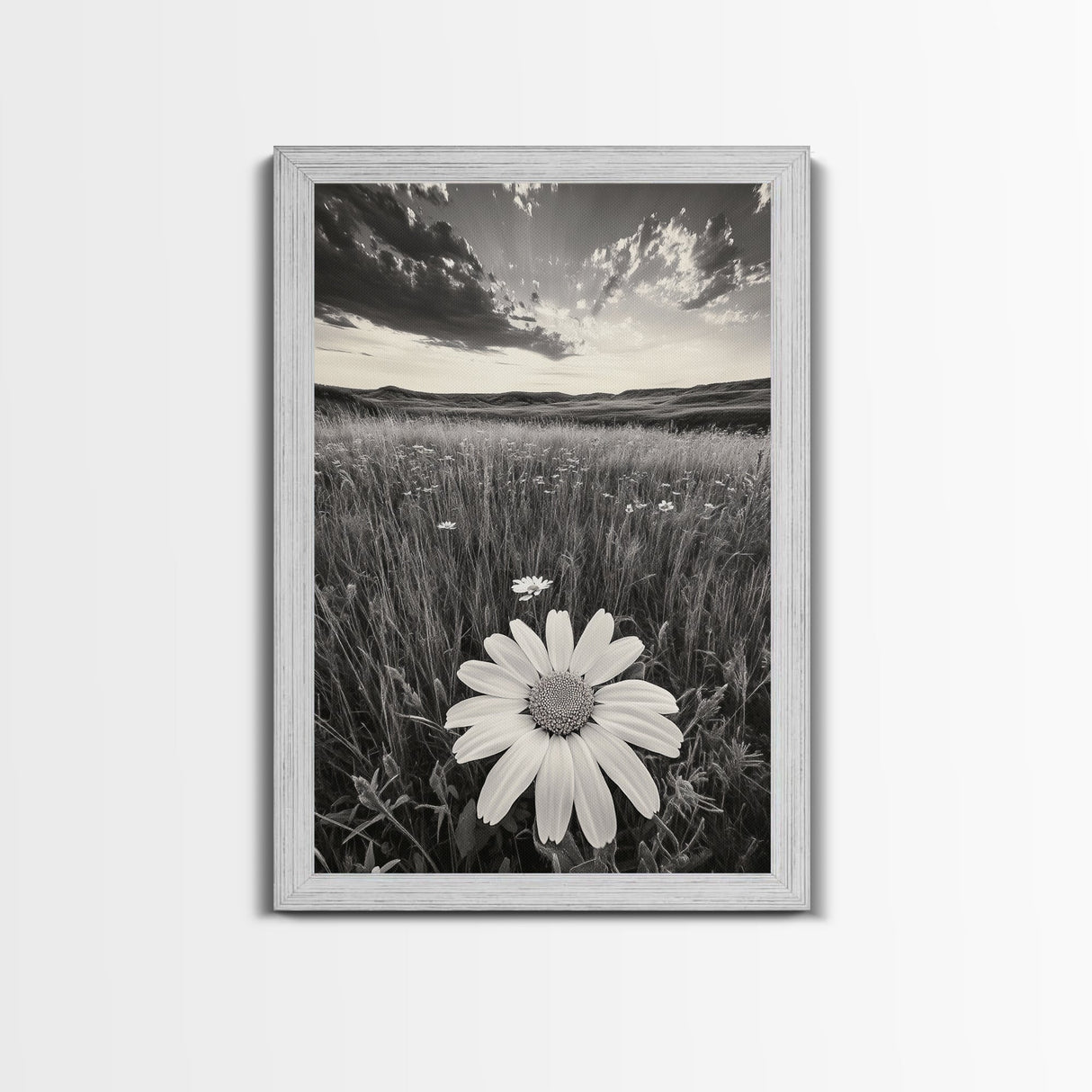 Wildflower Field, Daisy Bloom, Summer Meadow, Framed Canvas Print, Boho Botanical Wall Art, Bedroom Decor, Earthy Nature Photography