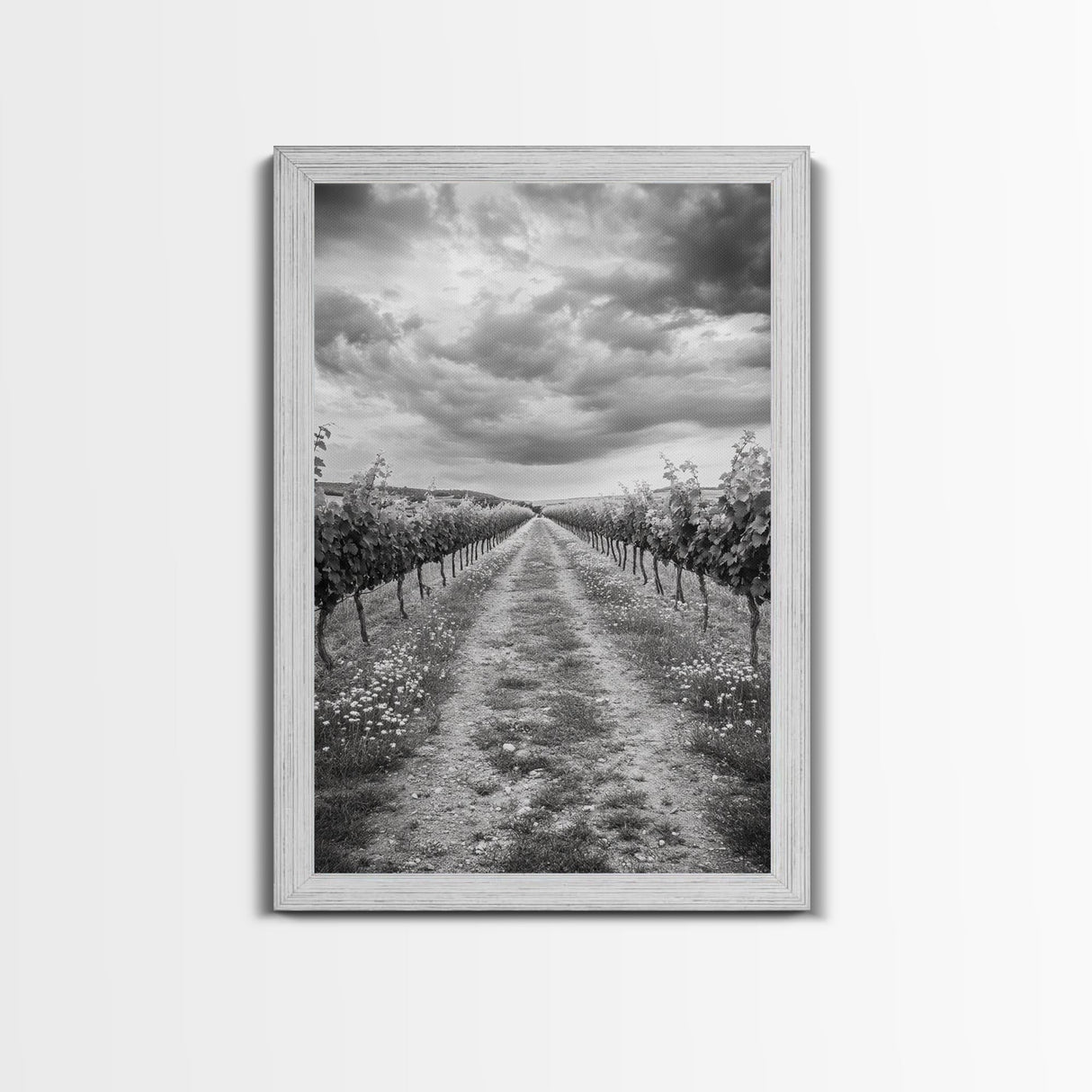 Vineyard Rows, Cloudy Skies, Countryside Path, Canvas Print, Farmhouse Wall Art, Kitchen or Dining Decor, Rustic Landscape Photo