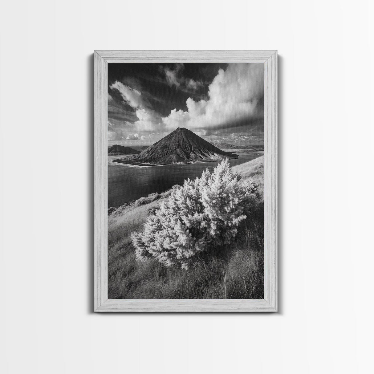 Majestic Volcano, Wild Grass, Black and White, Framed Canvas Print, Nature Photography, Office Decor, Moody Art, Rustic Wall Art