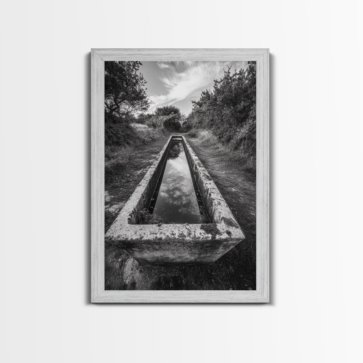 Forest Path, Reflection Pool, Nature Trail Art, Canvas Print, Tranquil Landscape, Boho Wall Decor, Entryway or Hallway Art
