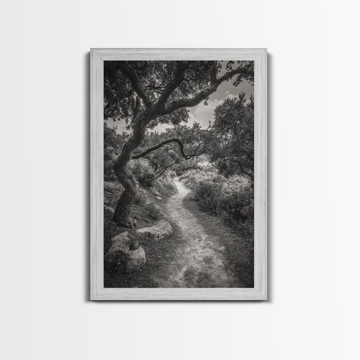 Forest Path, Twisting Trees, Nature Trail Scene, Framed Canvas Print, Earthy Wall Art, Boho Woodland Decor, Entryway or Hallway Accent