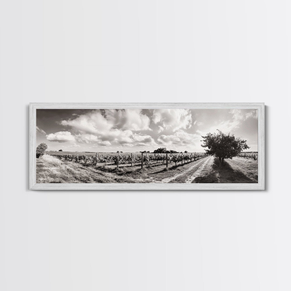 Vineyard Rows, Sunny Fields, Cloudy Sky, Canvas Print, Rustic Country Decor, Dining Room Wall Art, Wine Country Landscape, Farmhouse Style