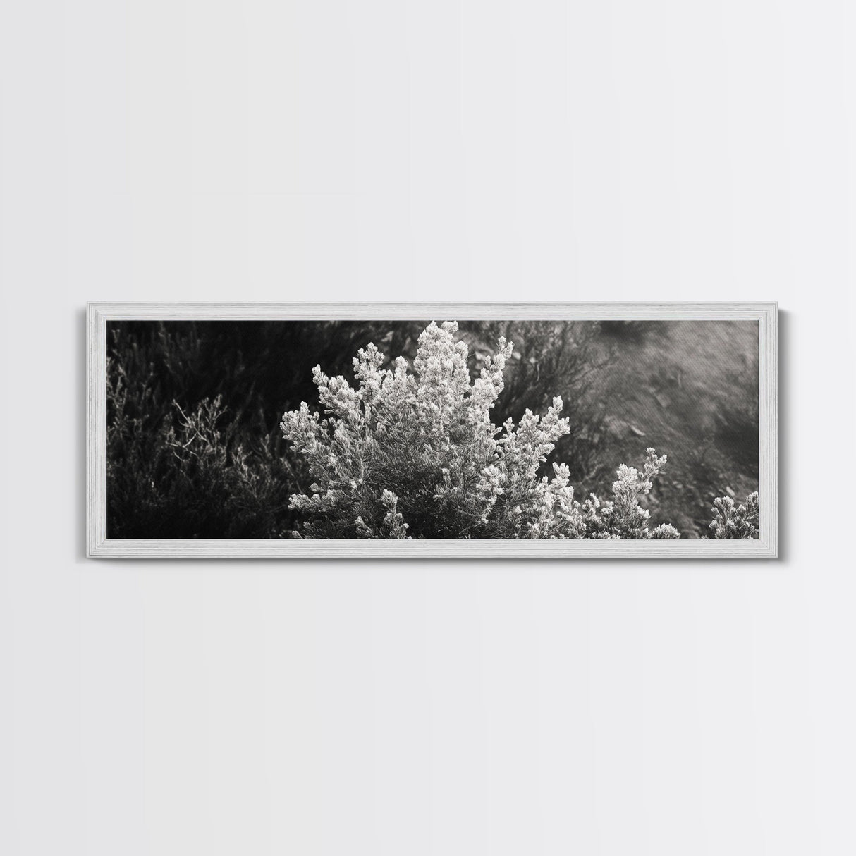 Frosted Bush, Winter Plant, Nature Closeup, Framed Canvas Print, Botanical Wall Art, Neutral Bedroom Decor, Rustic Autumn Style