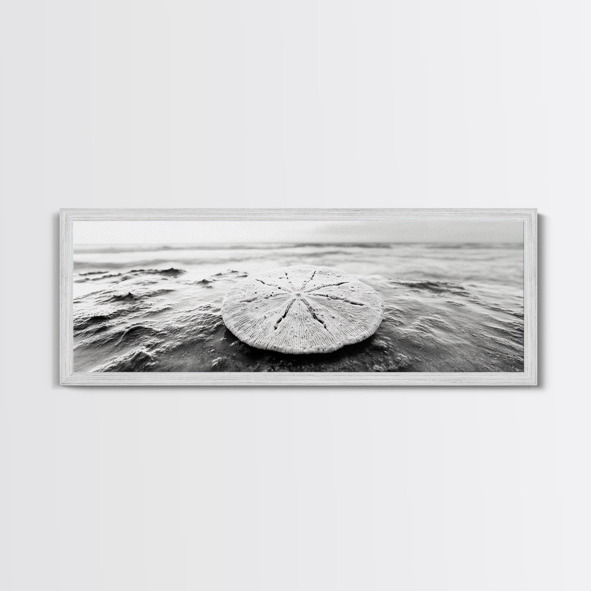 Sand Dollar, Ocean Shore, Calm Waters, Canvas Print, Coastal Wall Art, Minimalist Bathroom Decor, Seashell Beach Photography