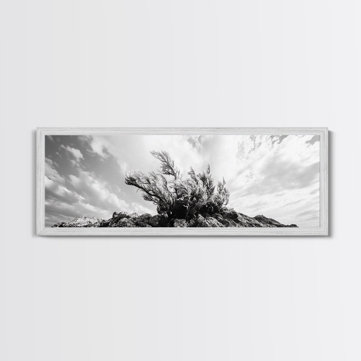 Windswept Kelp Rock, Ocean Botanical, Nature Inspired Canvas Print, Boho Style Art, Bathroom Wall Art, Sea Life Photography