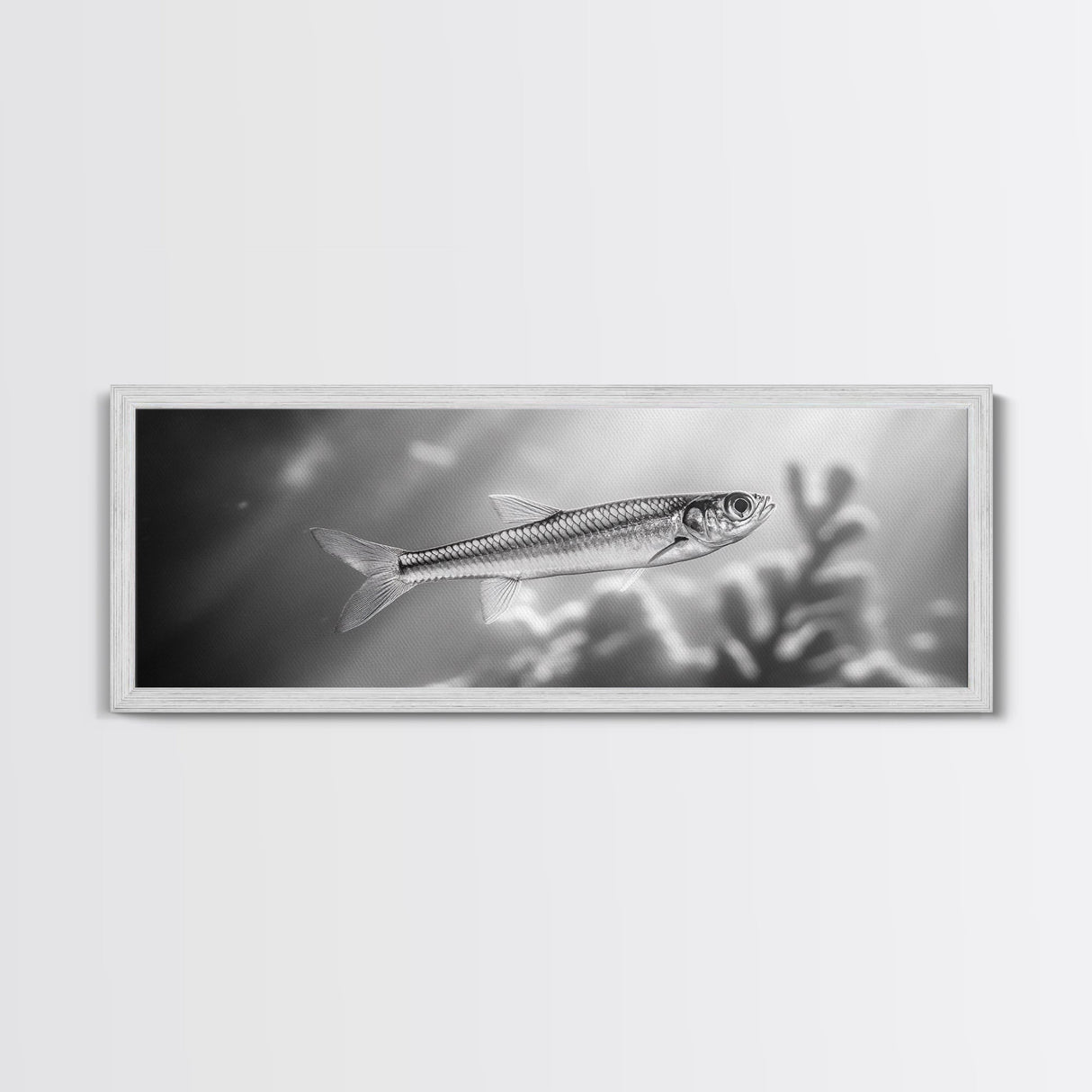 Silver Fish Closeup, Underwater Life, Marine Wildlife Art, Black and White Framed Canvas Print, Coastal Bathroom or Den Wall Art
