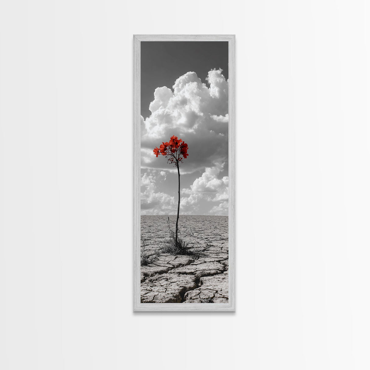 Red Bloom, Desert Flower, Solitary Beauty, Bold Nature, Framed Canvas Print, Dramatic Wall Art, Modern Bedroom Decor, Minimalist Botanical Art