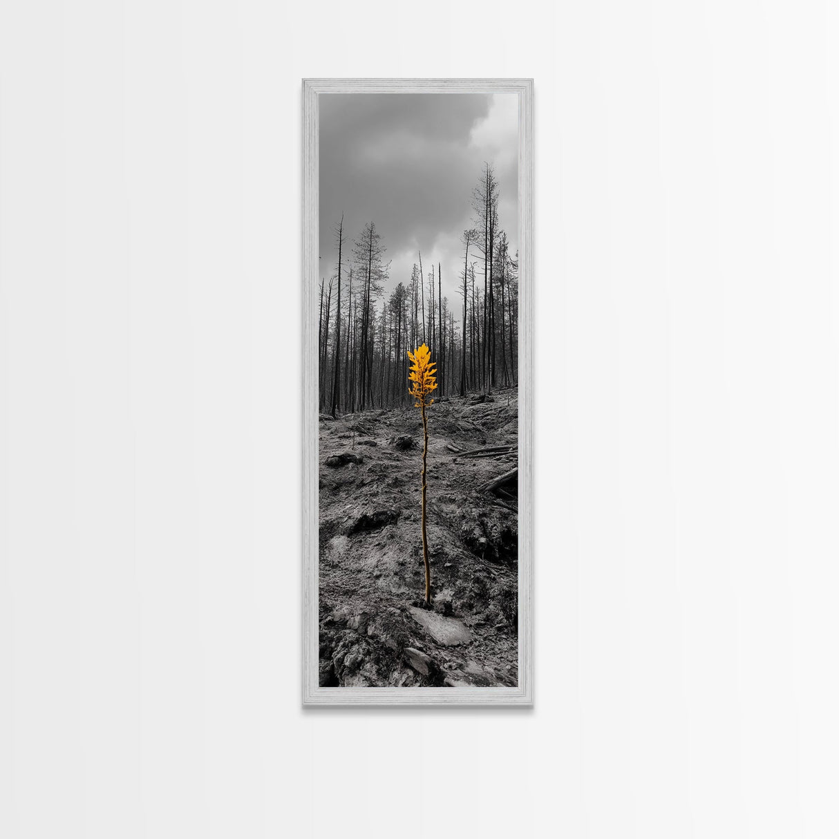 Lone Sprout, Forest Renewal, Emotional Nature Scene, Moody Landscape Art, Framed Canvas Print, Autumn Wall Decor, Rustic Nature Style