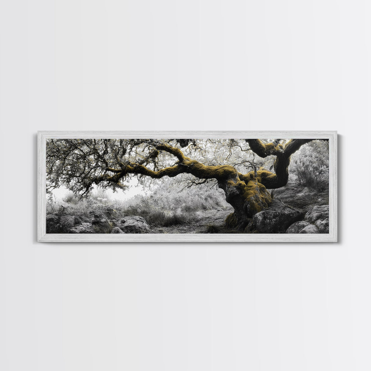 Twisted Oak, Mossy Branches, Forest Giant, Canvas Print, enchanted woodland art, fantasy living room decor, fairytale vibe