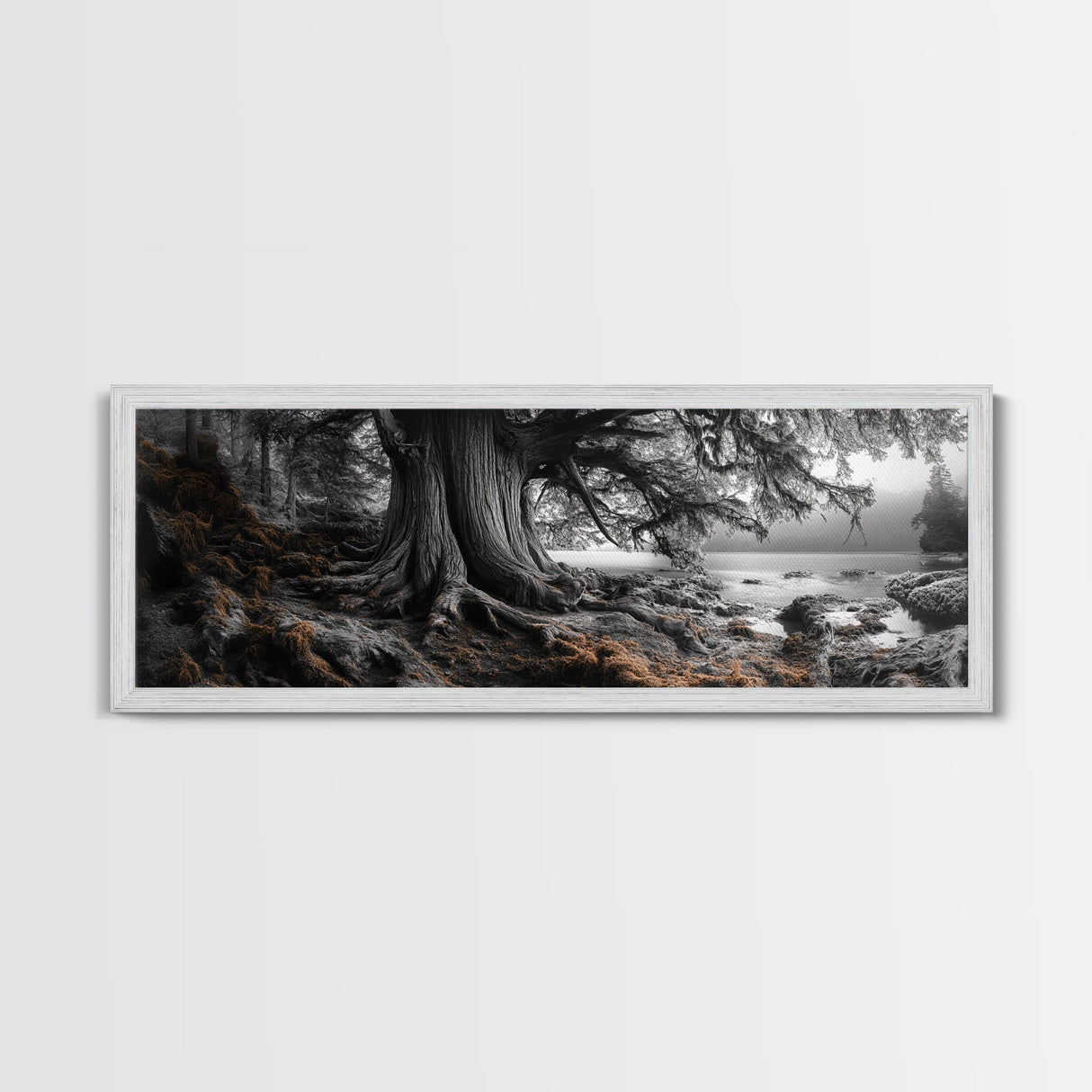 Ancient Tree, Forest Roots, Coastal Woods, Mystical Scene, Framed Canvas Print, Nature Wall Art, Woodland Decor, Moody Living Room Art