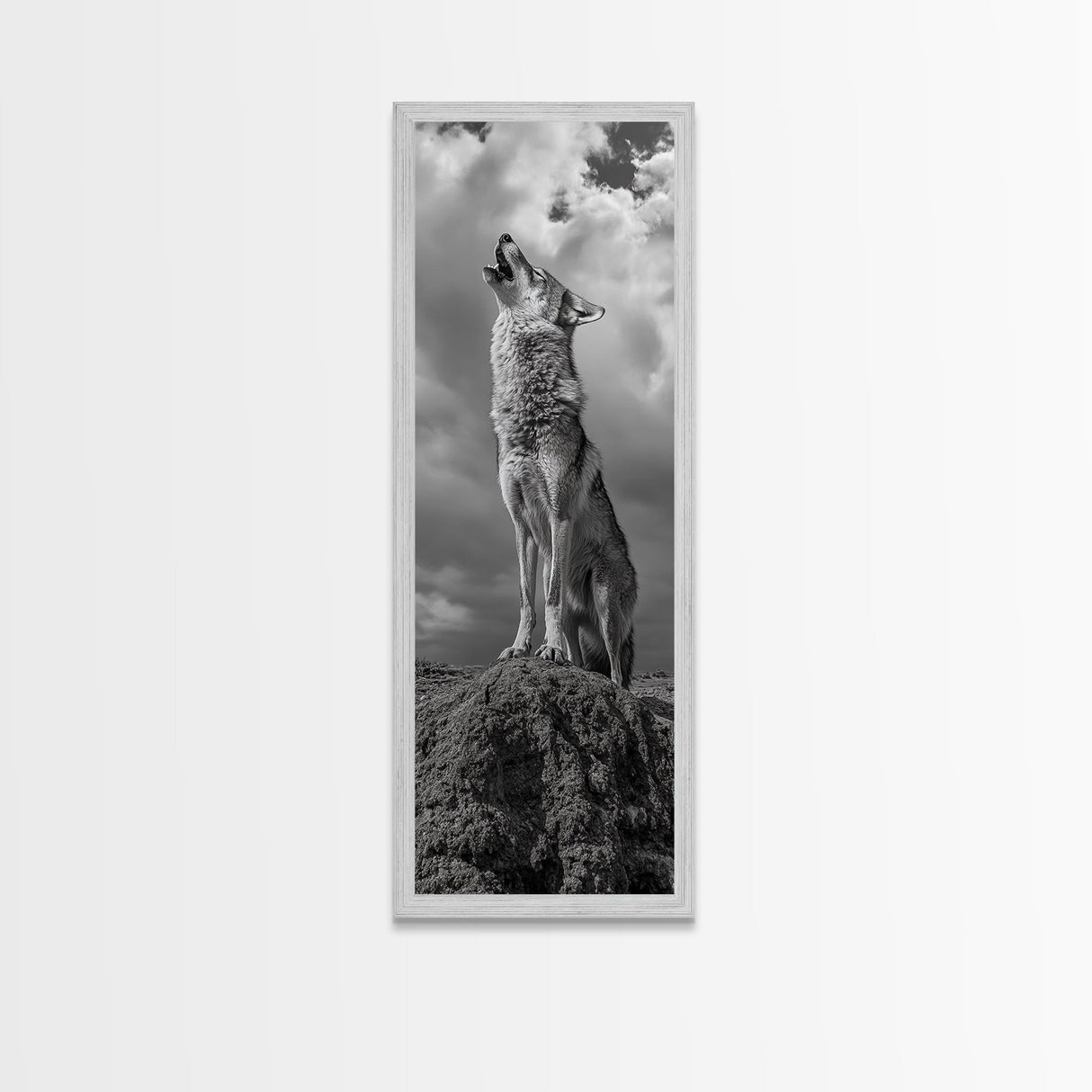 Howling Coyote, Framed Canvas Print, southwest wall art, rustic wall art, wildlife photography, desert landscape art, cowboy art, boho home decor