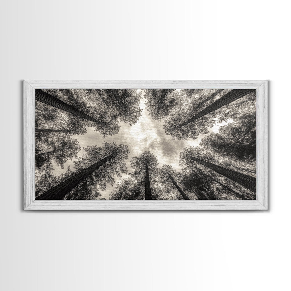 Redwood Trees, Pine Tree Art, Nature Photography, Joshua Tree Art, Extra Wide Art, Forest at Dusk Painting, Canvas Print