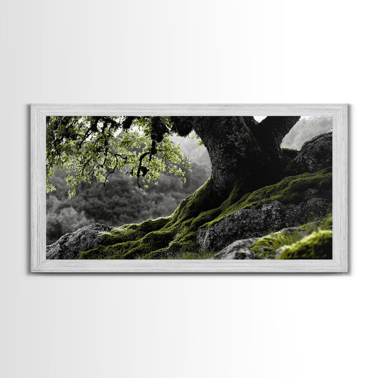 Mossy Oak Tree, oak tree art, nature wall art, rustic art, botanical prints, green wall art, extra wide art, Framed Canvas Print